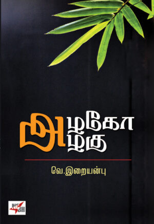 அழகோ அழகு