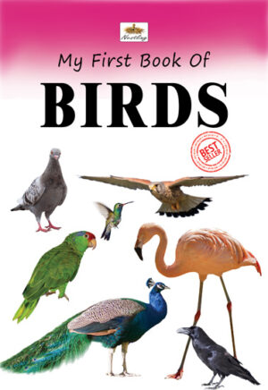 My First Book Of Birds