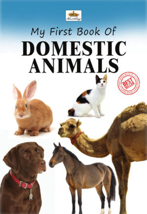 My First Book Of Domestic Animals