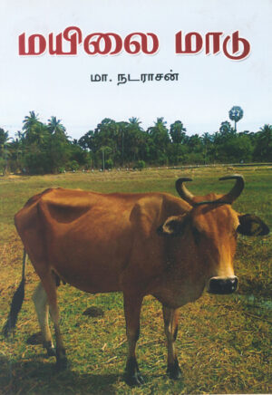 மயிலை மாடு / Mayilai Maadu