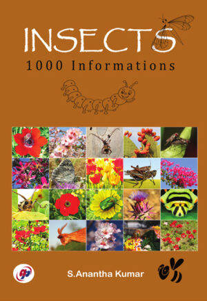 Insects 1000 Informations